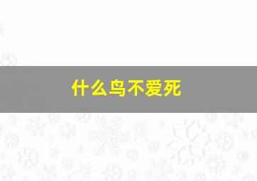 什么鸟不爱死