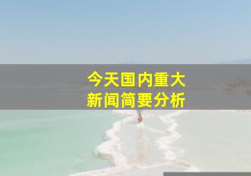 今天国内重大新闻简要分析