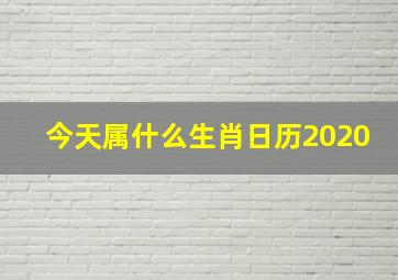 今天属什么生肖日历2020