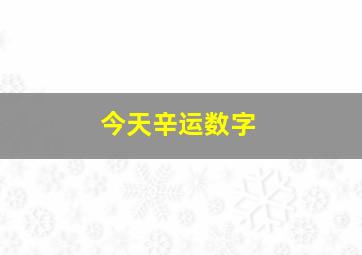 今天辛运数字