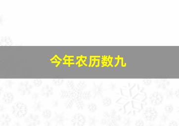 今年农历数九