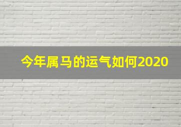 今年属马的运气如何2020