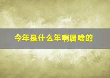 今年是什么年啊属啥的