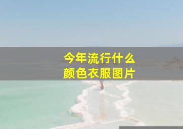 今年流行什么颜色衣服图片