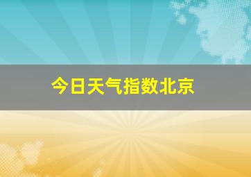 今日天气指数北京