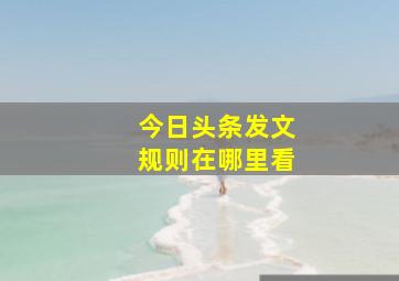 今日头条发文规则在哪里看