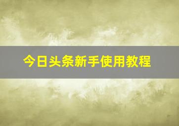 今日头条新手使用教程