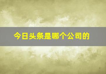 今日头条是哪个公司的