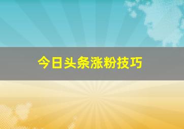 今日头条涨粉技巧