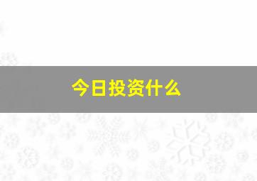 今日投资什么