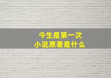 今生是第一次小说原著是什么