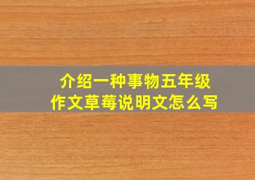 介绍一种事物五年级作文草莓说明文怎么写