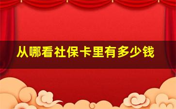 从哪看社保卡里有多少钱