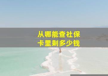 从哪能查社保卡里剩多少钱