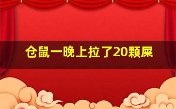 仓鼠一晚上拉了20颗屎