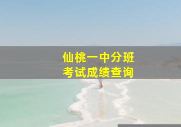 仙桃一中分班考试成绩查询