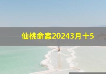 仙桃命案20243月十5