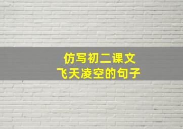 仿写初二课文飞天凌空的句子