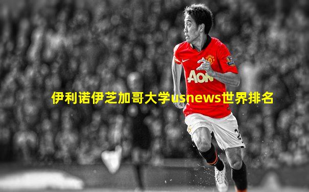 伊利诺伊芝加哥大学usnews世界排名