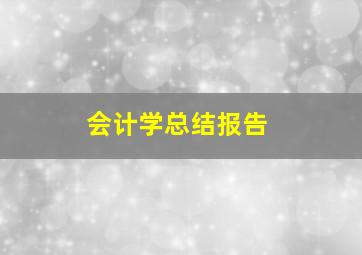 会计学总结报告