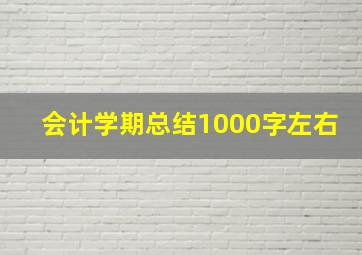 会计学期总结1000字左右