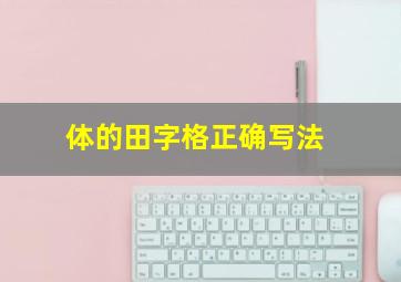 体的田字格正确写法