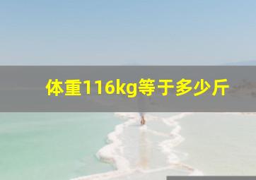 体重116kg等于多少斤