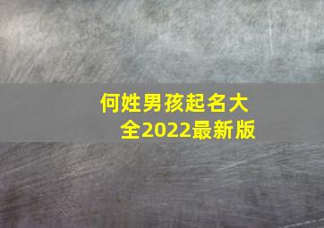 何姓男孩起名大全2022最新版