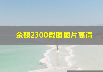 余额2300截图图片高清