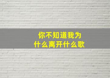 你不知道我为什么离开什么歌