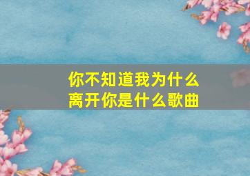 你不知道我为什么离开你是什么歌曲