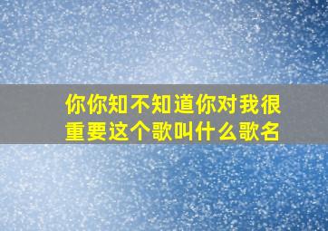 你你知不知道你对我很重要这个歌叫什么歌名