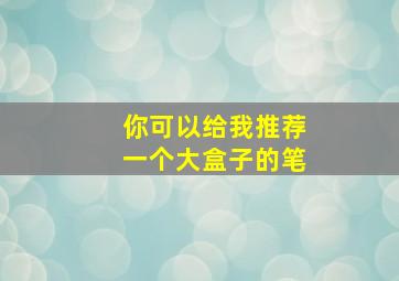 你可以给我推荐一个大盒子的笔