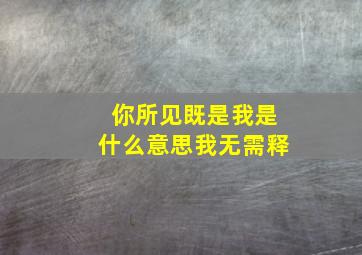 你所见既是我是什么意思我无需释