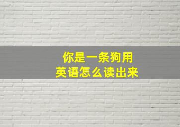 你是一条狗用英语怎么读出来