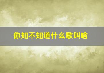 你知不知道什么歌叫啥