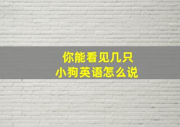 你能看见几只小狗英语怎么说