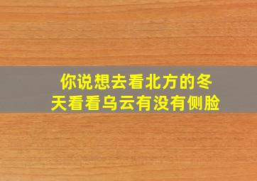 你说想去看北方的冬天看看乌云有没有侧脸