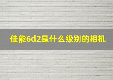 佳能6d2是什么级别的相机