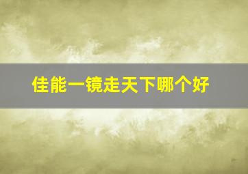 佳能一镜走天下哪个好