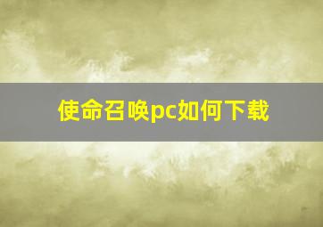 使命召唤pc如何下载