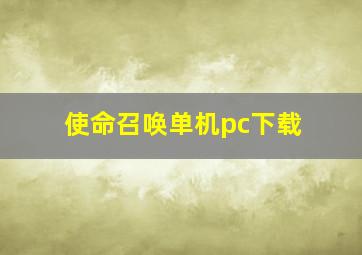 使命召唤单机pc下载