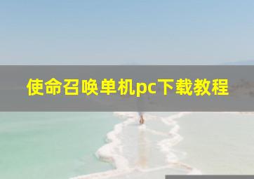 使命召唤单机pc下载教程