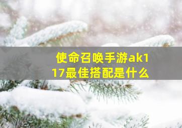 使命召唤手游ak117最佳搭配是什么