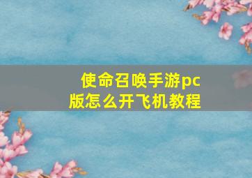 使命召唤手游pc版怎么开飞机教程