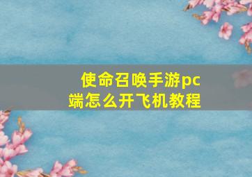 使命召唤手游pc端怎么开飞机教程