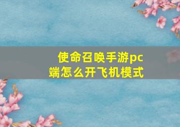 使命召唤手游pc端怎么开飞机模式