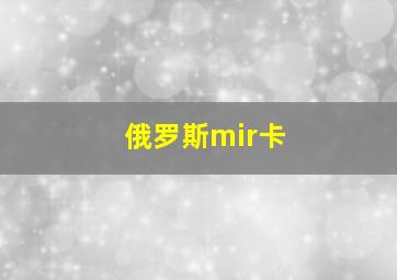 俄罗斯mir卡