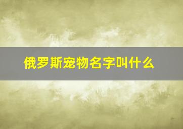 俄罗斯宠物名字叫什么