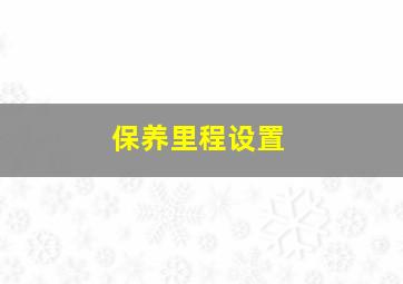 保养里程设置